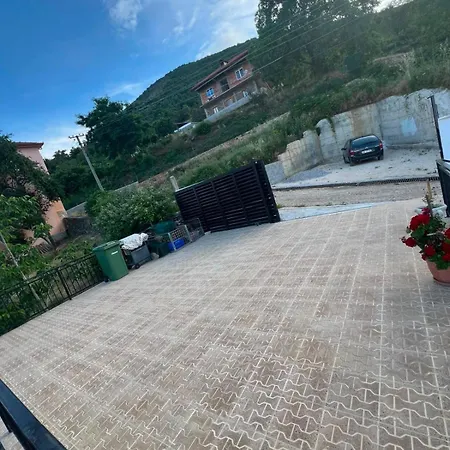فيلة 4 Stinet بورغراديك